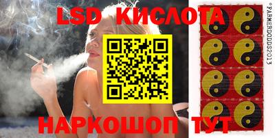 кокаин Гатчина