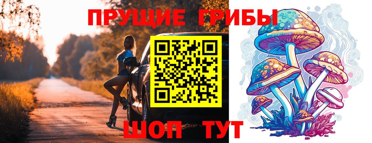 Губкинский  закладка  Вход с VPN  Псилоцибиновые грибы прущие грибы 